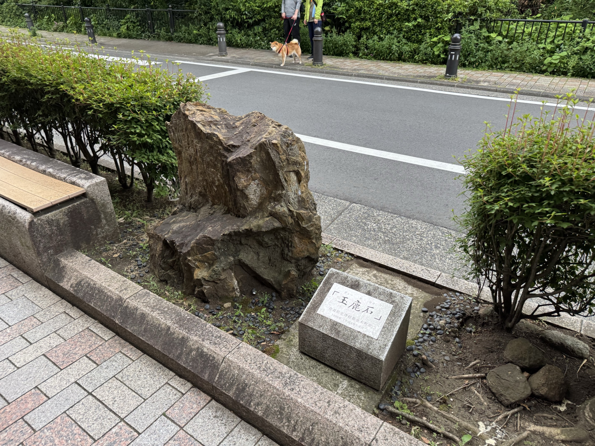 Image (3)